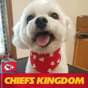 Meet your Posher, Patricia